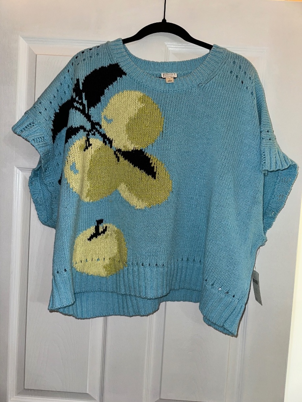 Maeve Anthropologie Light Blue Veggie Fruit Motif Short Sleeve Knit Sweater 3XL